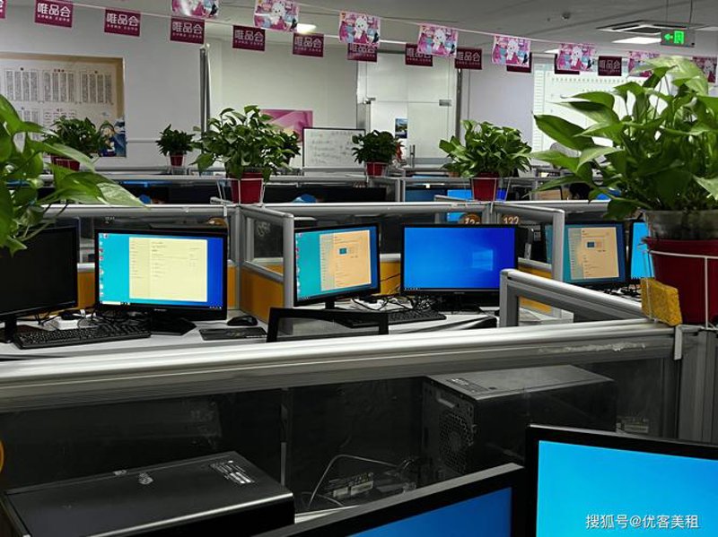 APP开发